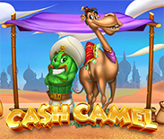 Cash Camel Cash Camel