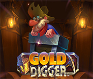 Gold Digger Gold Digger